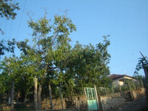 DSC03039-w1024-h800