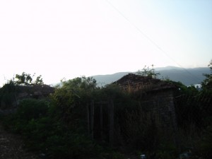 DSC03040-w1024-h800