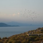 DSC03074-w1024-h800